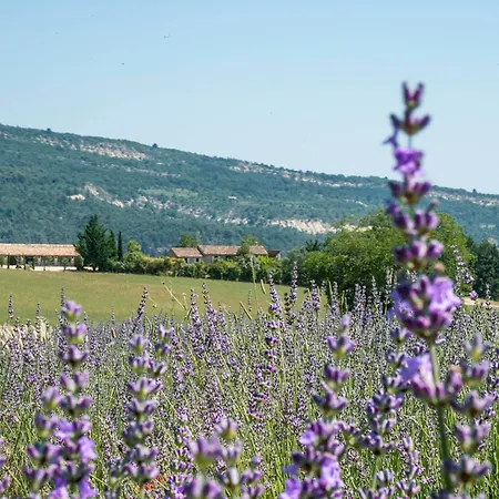 Domaine De Saint Quentin B&B Oppedette