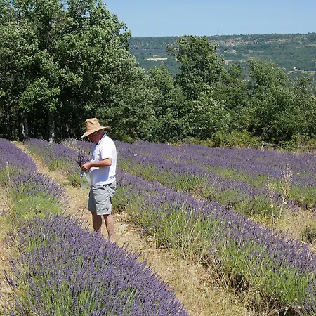 B&B Domaine De Saint Quentin