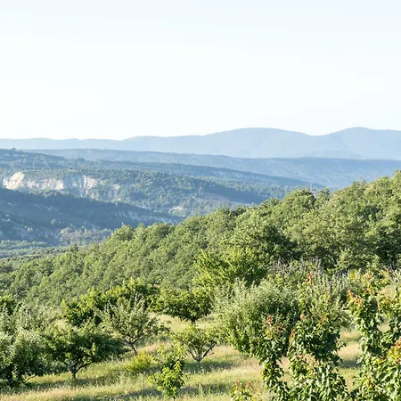 Domaine De Saint Quentin B&B Oppedette