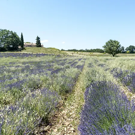 Domaine De Saint Quentin B&B 3*