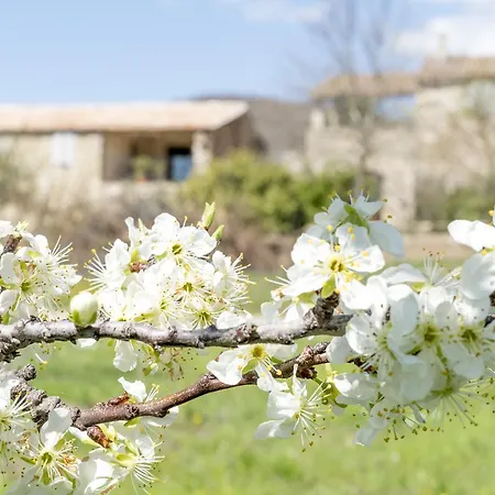 Domaine De Saint Quentin B&B