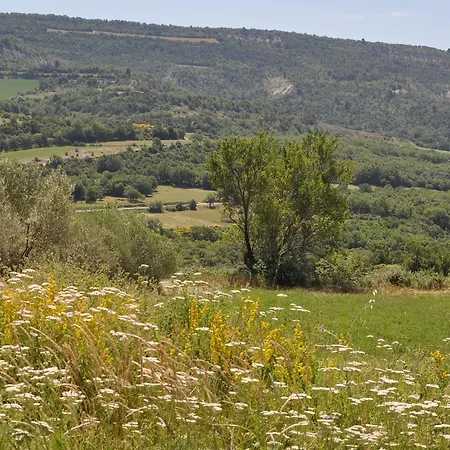 B&B Domaine De Saint Quentin Oppedette