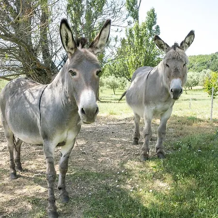 Domaine De Saint Quentin B&B