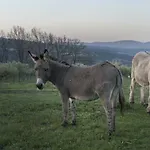 Domaine De Saint Quentin Panzió 3*