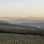 Domaine De Saint Quentin Panzió Oppedette