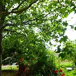 Domaine De Saint Quentin Panzió 3*