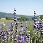 Domaine De Saint Quentin 3*