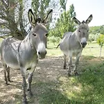 Domaine De Saint Quentin Panzió