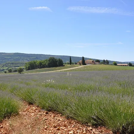 Domaine De Saint Quentin Oppedette