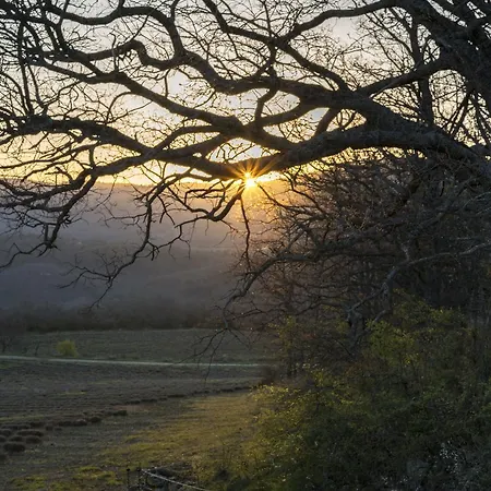 Domaine De Saint Quentin Oppedette