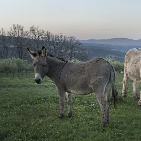 Domaine De Saint Quentin Couette-café 3*