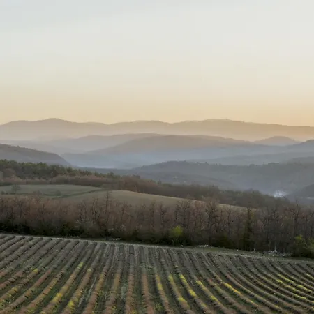 Domaine De Saint Quentin Bed and breakfast Oppedette