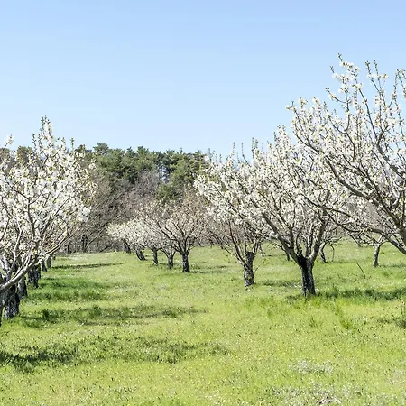 Couette-café Domaine De Saint Quentin