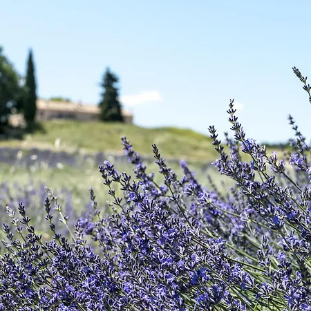 Domaine De Saint Quentin Bed and breakfast Oppedette