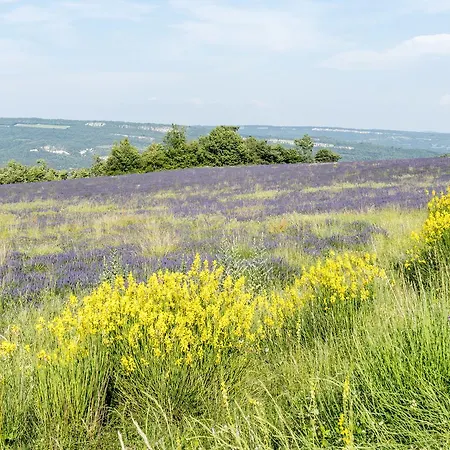 Domaine De Saint Quentin 3* Oppedette