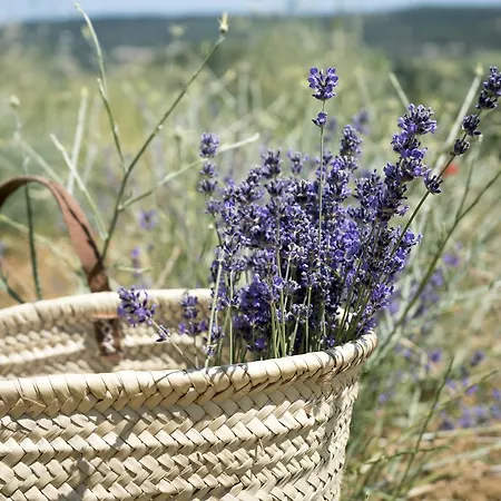 Domaine De Saint Quentin 3* Oppedette