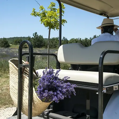 Domaine De Saint Quentin Couette-café Oppedette