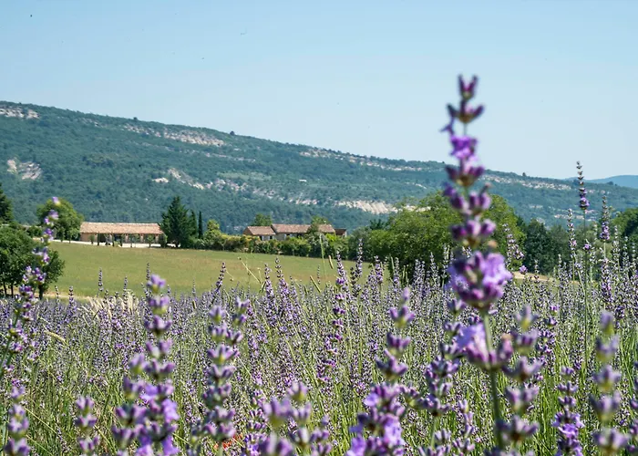 Domaine De Saint Quentin Bed & Breakfast Oppedette