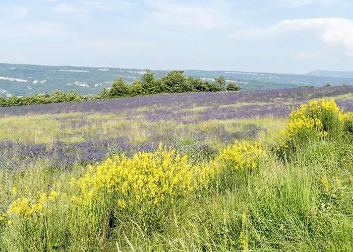 Bed & Breakfast Domaine De Saint Quentin