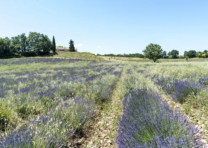 Domaine De Saint Quentin Bed & Breakfast 3*