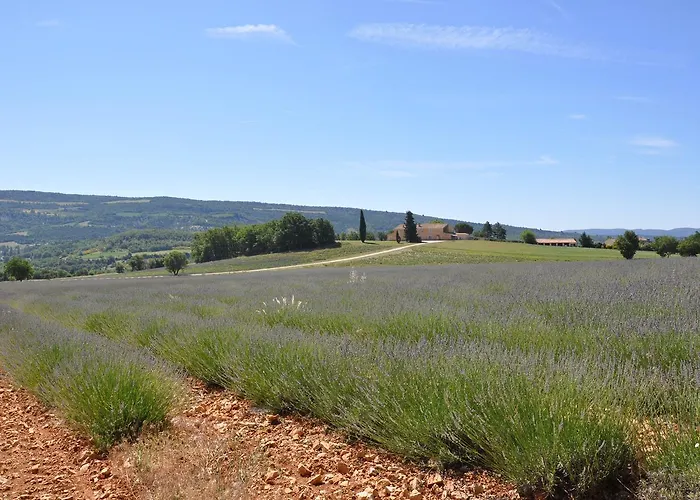 Domaine De Saint Quentin Oppedette