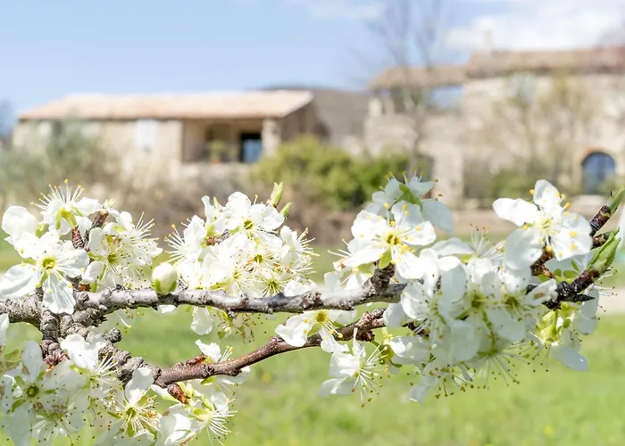 Domaine De Saint Quentin Bed & Breakfast