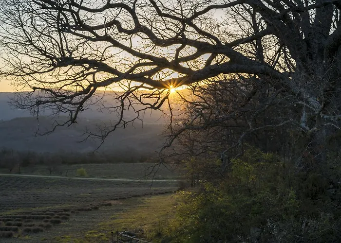 Domaine De Saint Quentin Oppedette