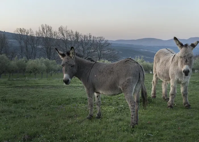 Domaine De Saint Quentin Bed & Breakfast 3*