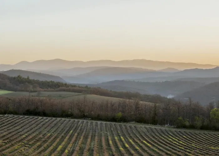 Domaine De Saint Quentin Bed & Breakfast Oppedette