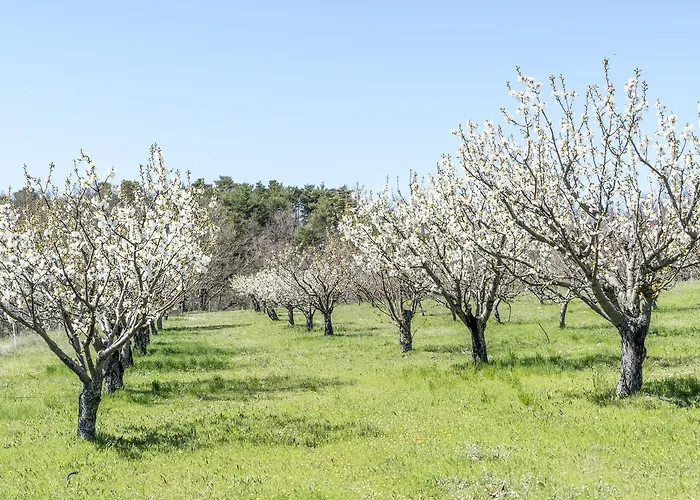 Bed & Breakfast Domaine De Saint Quentin
