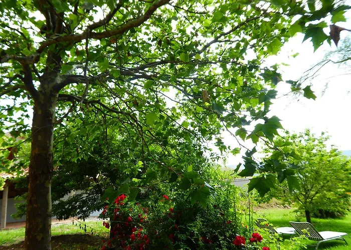 Domaine De Saint Quentin Bed & Breakfast 3*