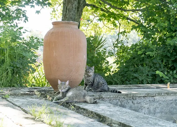 Domaine De Saint Quentin 3*