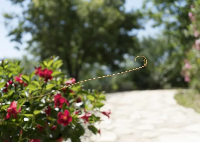 Domaine De Saint Quentin Oppedette