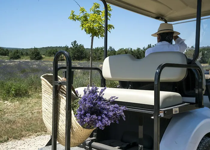 Domaine De Saint Quentin Bed & Breakfast Oppedette