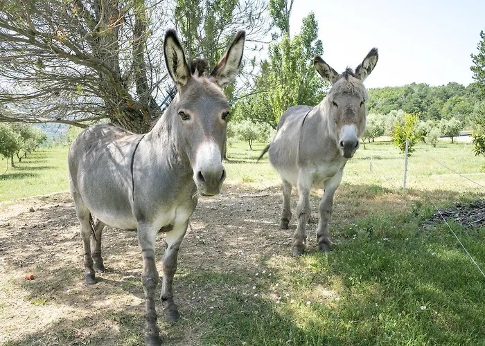 Domaine De Saint Quentin Bed & Breakfast